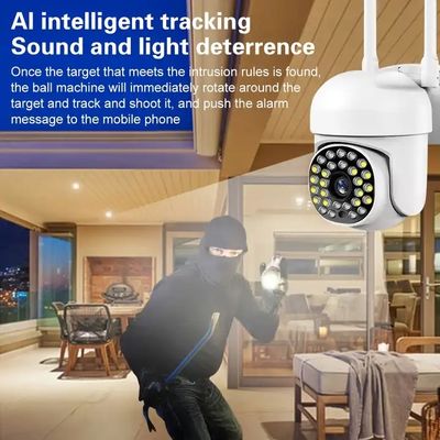 Stable Outdoor HD 1080P Security Camera , Moistureproof 360 View CCTV Camera