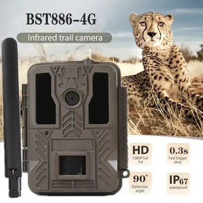 4G Hunting Outdoor Trail Camera IP67 Waterproof Night Vision