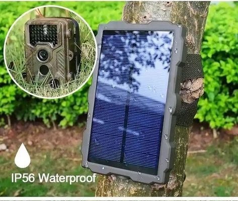 1080p Hunting Camera Wildlife Nature Hunting Trail Video Camera
