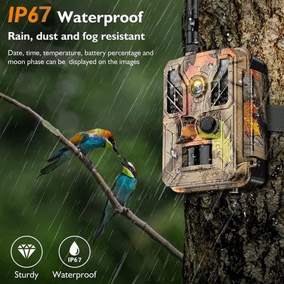 36MP 4G Cellular Wild Game Trail Camera Traps With No Glow Wide Angel Lens For Hunting