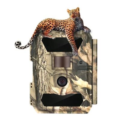 Hunting Trail Camera Smart Camera And Apps And Message Wildlife Trail Camera