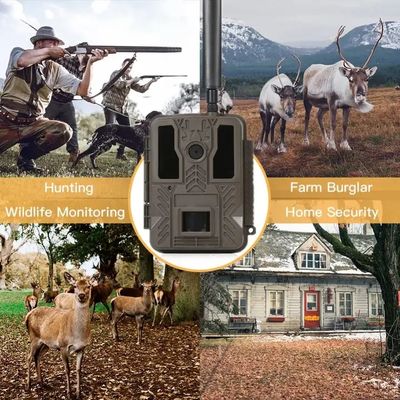 Hunting Trail Camera 1080p Outdoors IP67 Waterproof Night Vision