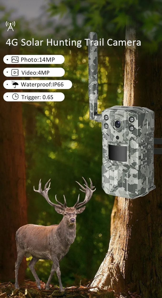 道のカメラ、夜間視界4Gの野性生物のカメラ0を捜す実用的な14MP